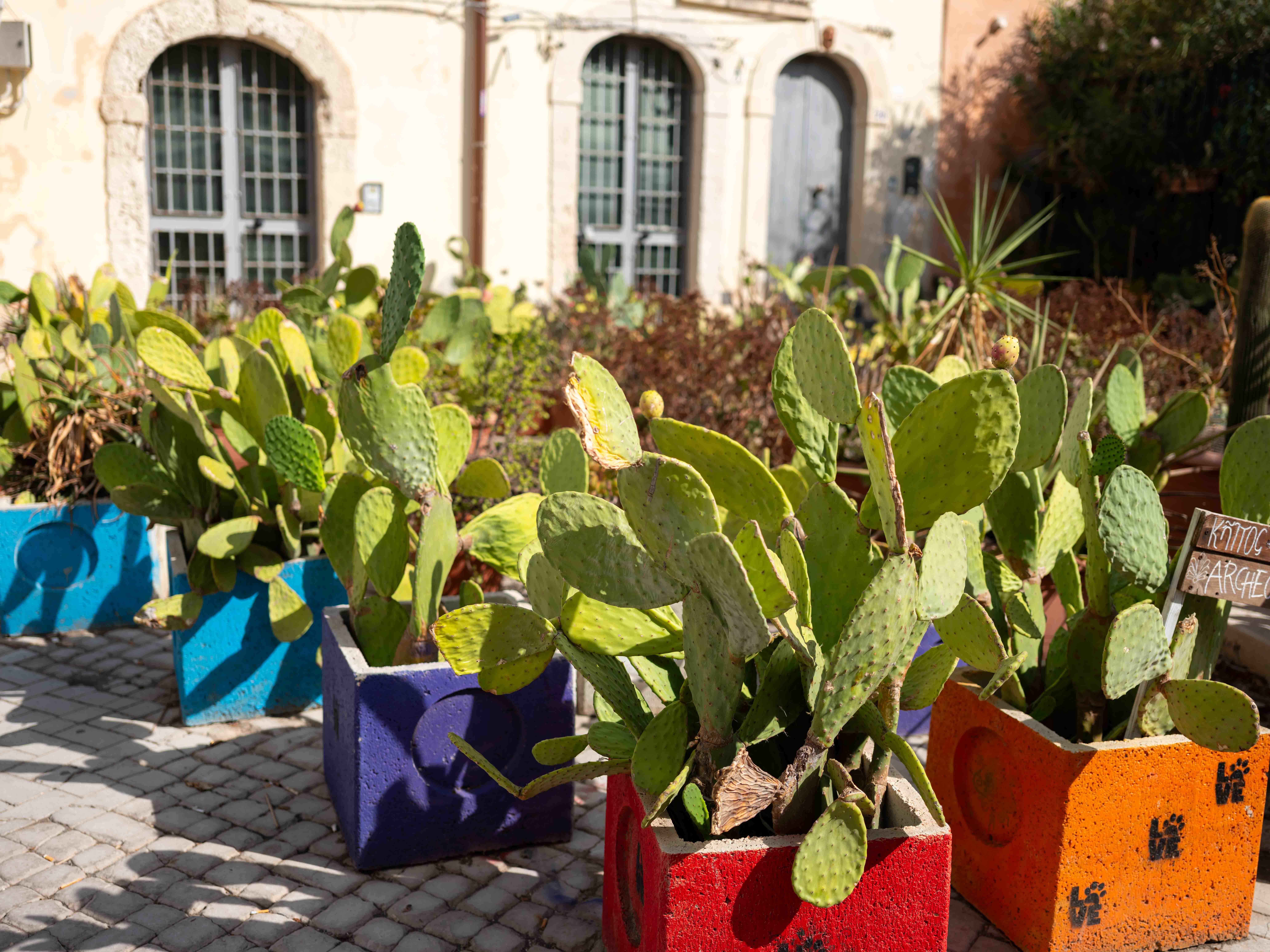 Photos from travel in Sicily, Fall 2024. Taormina, Noto, Palermo.